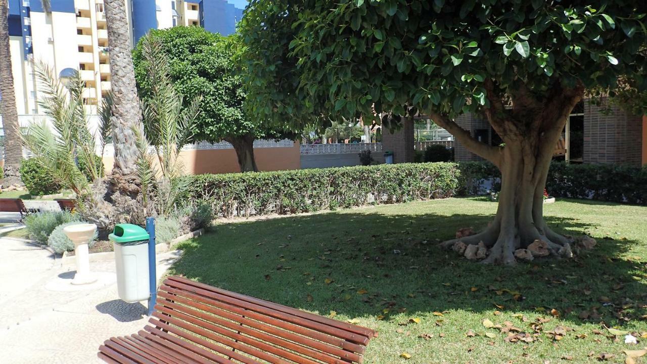 Apartament Tortuga Flat Alicante Zewnętrze zdjęcie